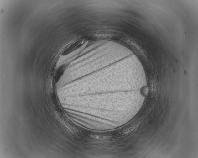 X0000087050733200705091135