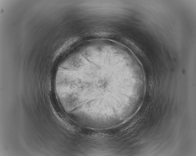 X0000087050734200705091135