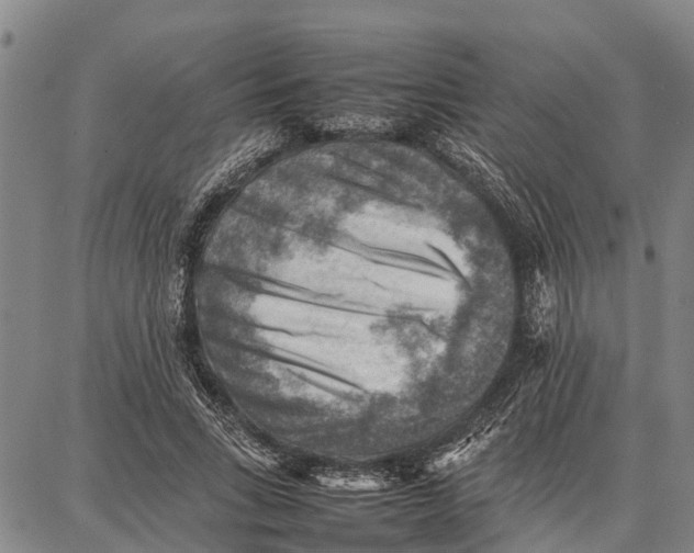 X0000087050735200705091135