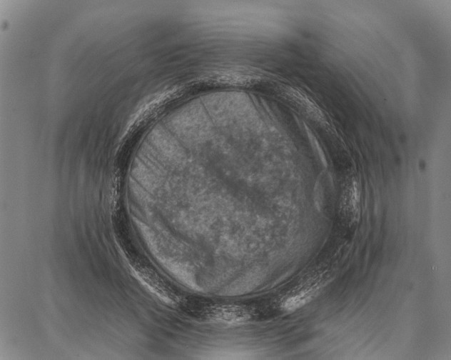 X0000087050736200705091135