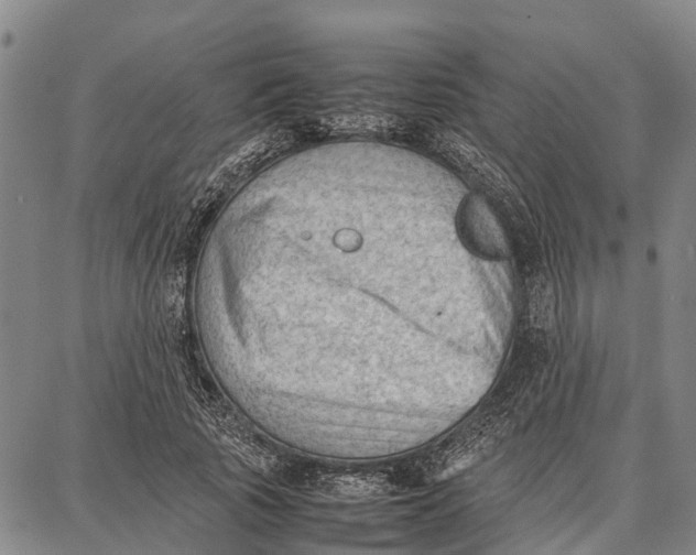 X0000087050737200705091135