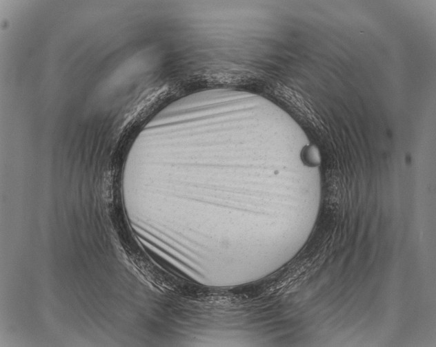 X0000087050738200705091135