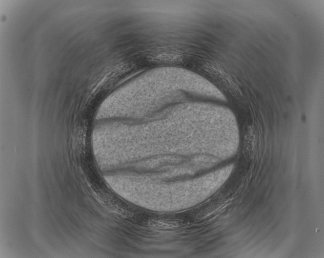 X0000087050739200705091135