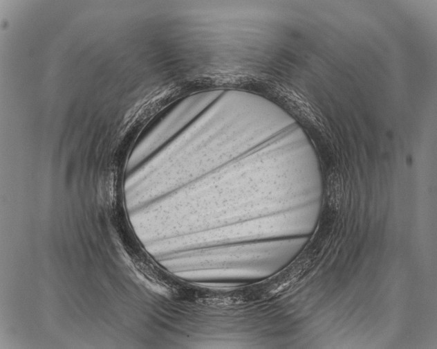 X0000087050740200705091135