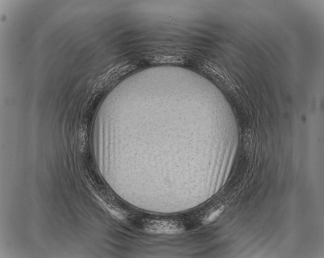 X0000087050741200705091135