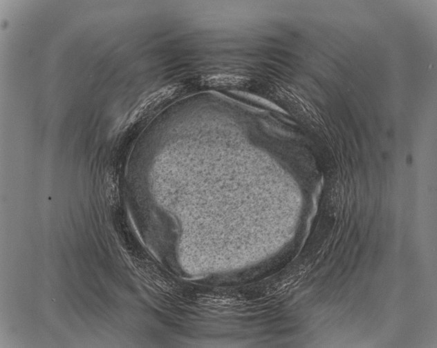 X0000087050743200705091135