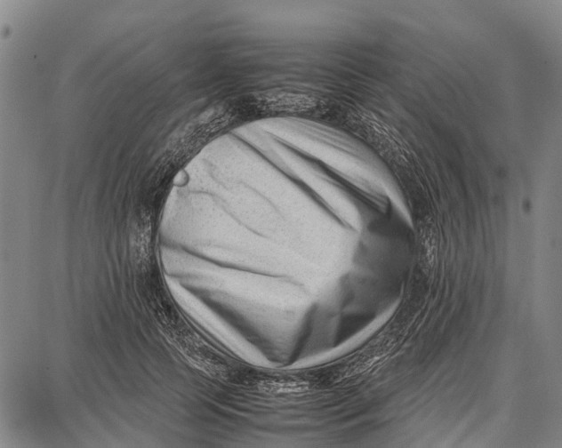 X0000087050745200705091135