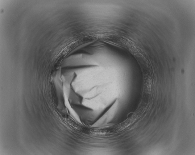 X0000087050746200705091135