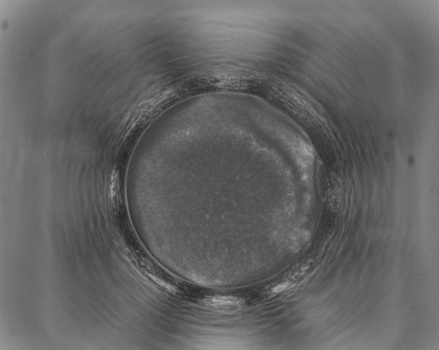 X0000087050748200705091135