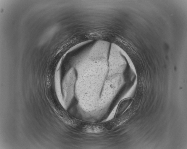 X0000087050751200705091135