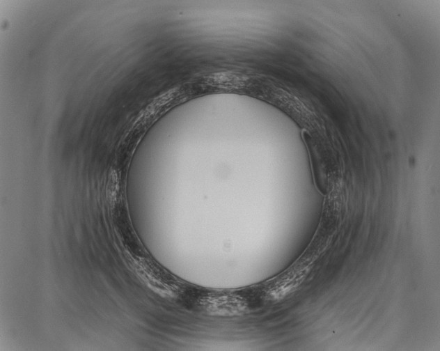 X0000087050752200705091135