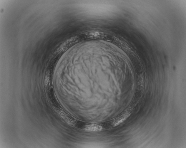 X0000087050754200705091135