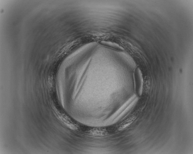 X0000087050756200705091135