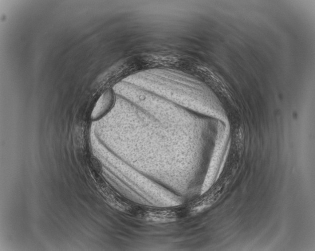 X0000087050757200705091135