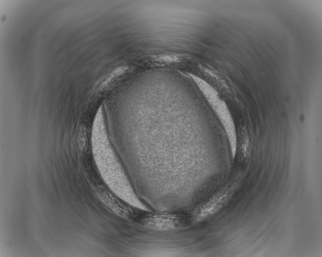 X0000087050758200705091135