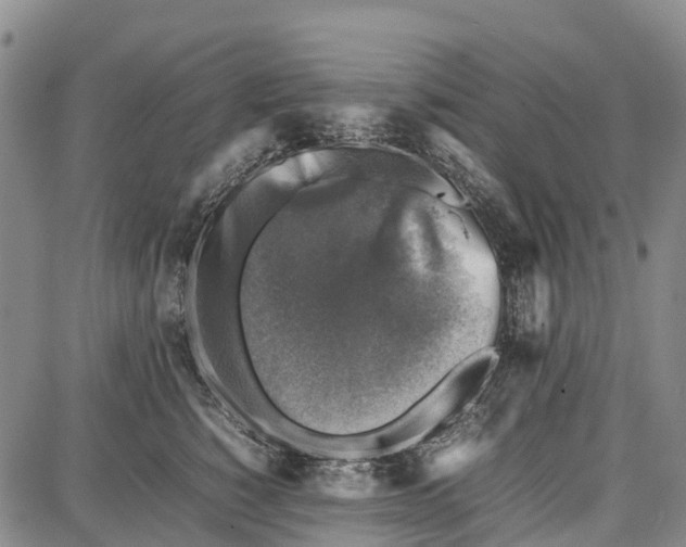 X0000087050760200705091135