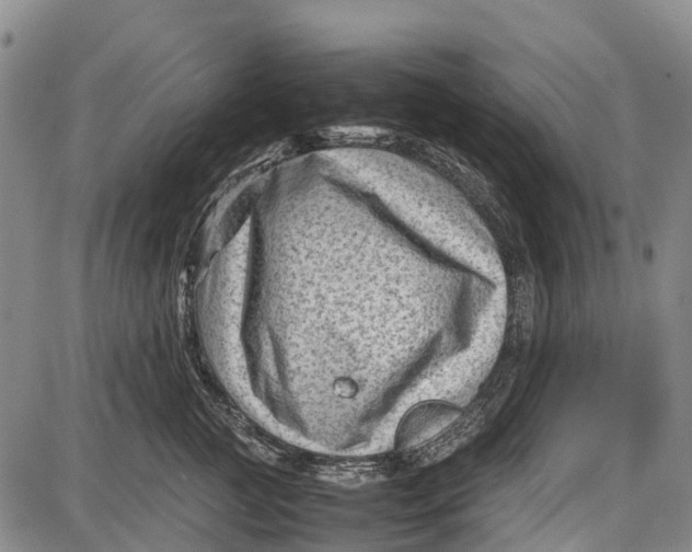 X0000087050761200705091135