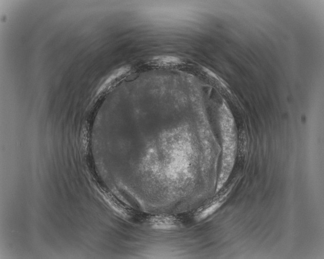 X0000087050762200705091135