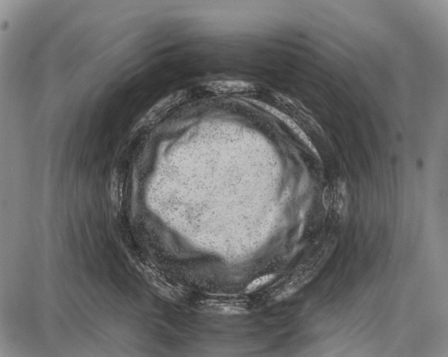 X0000087050763200705091135