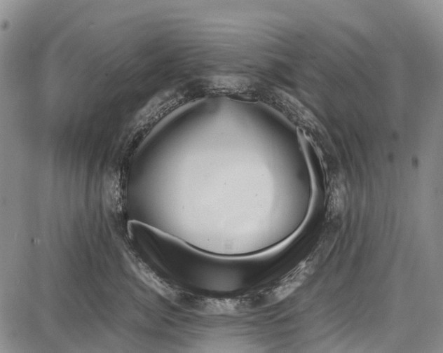 X0000087050764200705091135