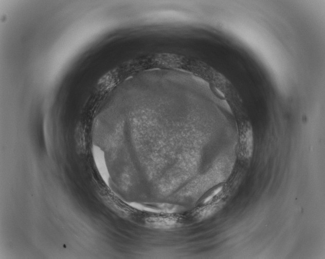 X0000087050765200705091135