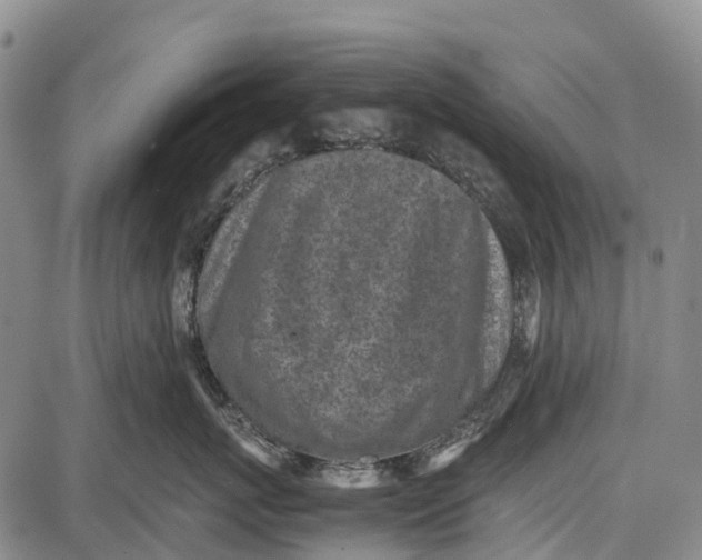 X0000087050767200705091135