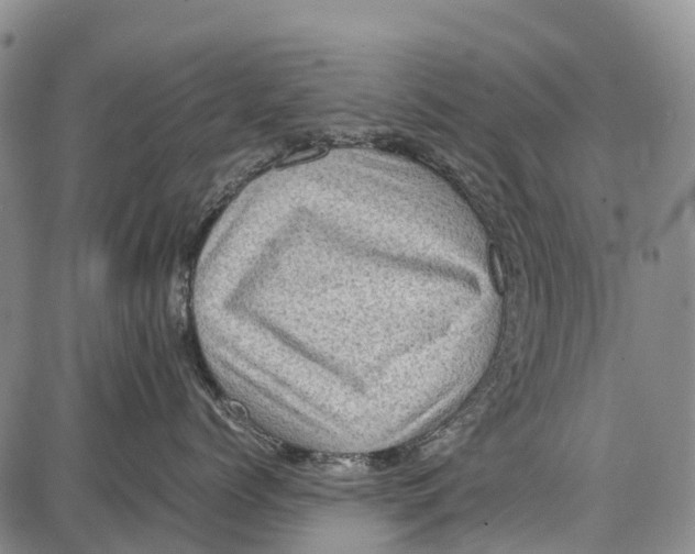 X0000087050768200705091135