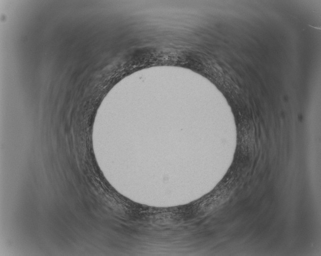 X0000087050769200705091135