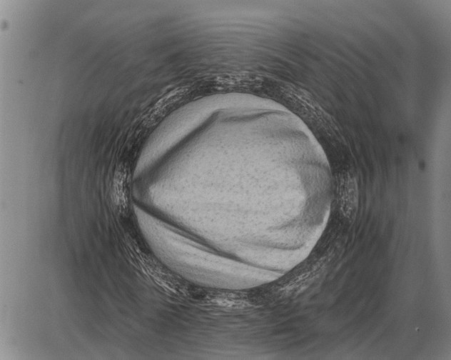 X0000087050770200705091135