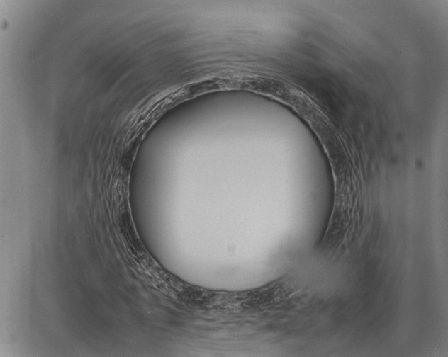 X0000087050773200705091135