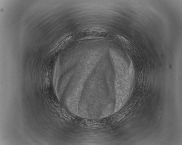 X0000087050774200705091135