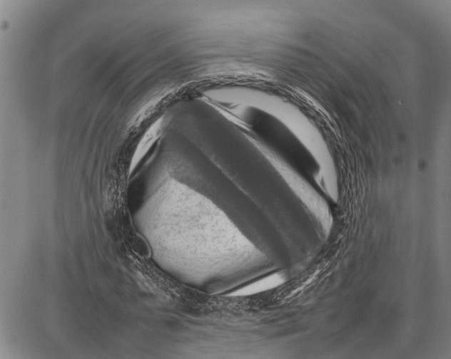 X0000087050775200705091135