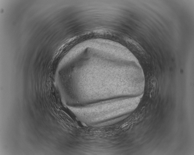 X0000087050776200705091135