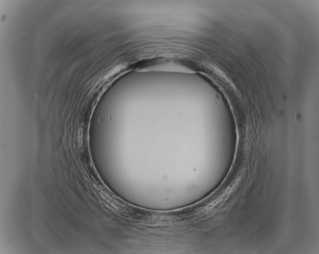 X0000087050777200705091135