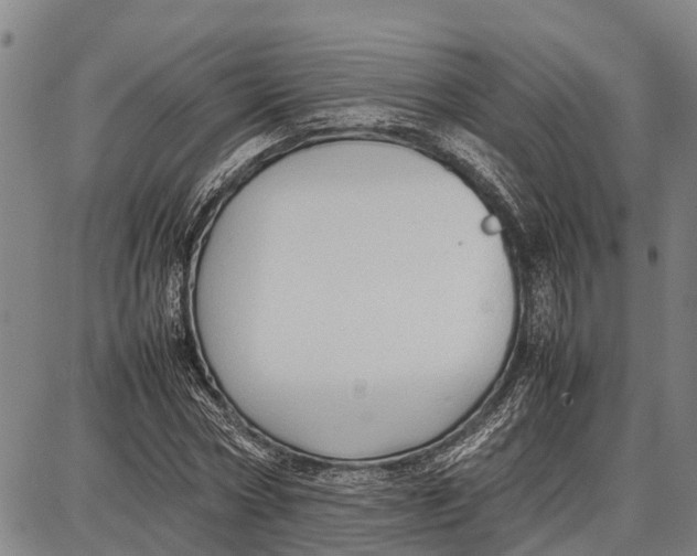 X0000087050778200705091134