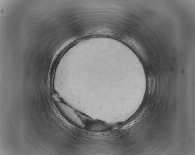 X0000087050780200705091134