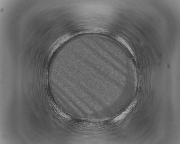 X0000087050781200705091134