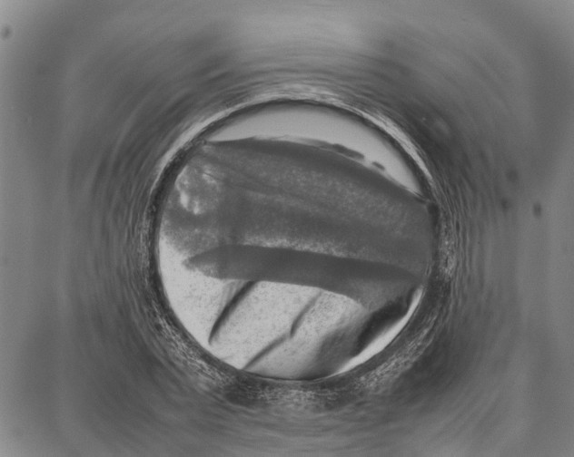 X0000087050783200705091134