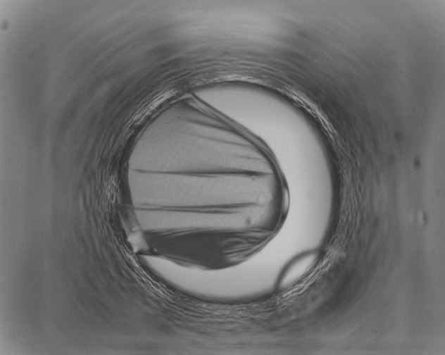 X0000087050785200705091134