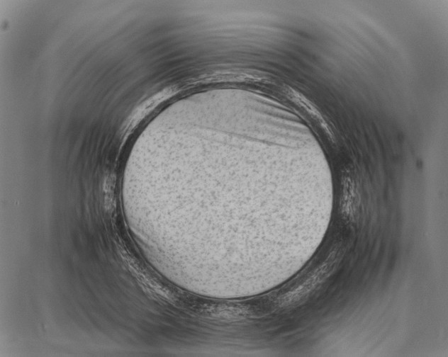 X0000087050786200705091134