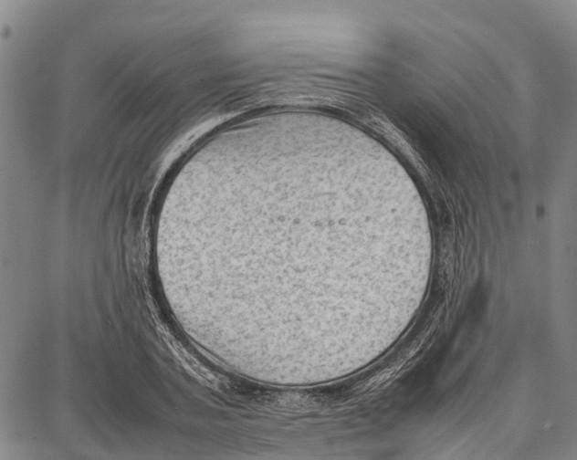 X0000087050787200705091134