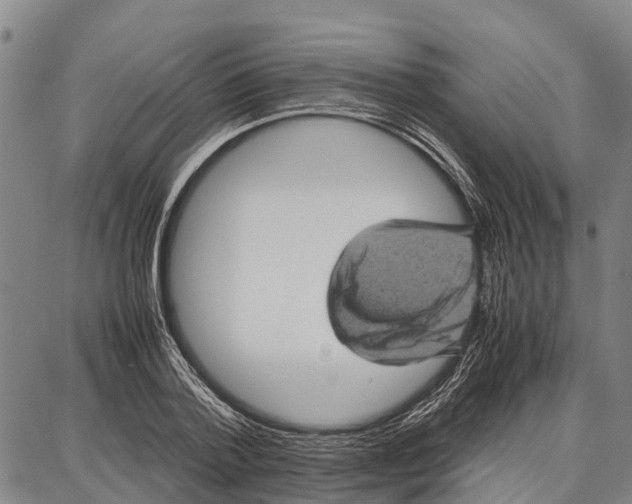 X0000087050788200705091134