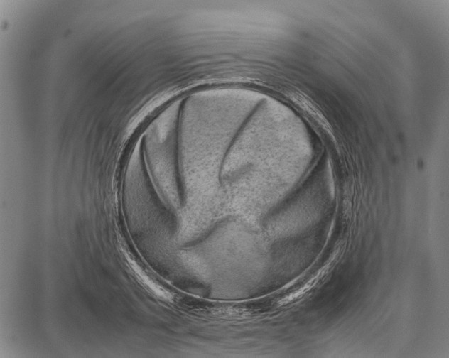 X0000087050789200705091134