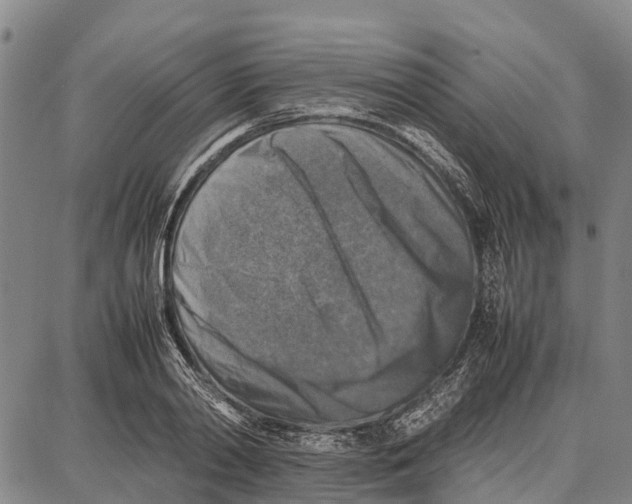 X0000087050790200705091134