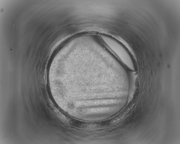 X0000087050791200705091134