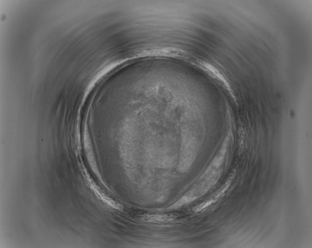 X0000087050792200705091134