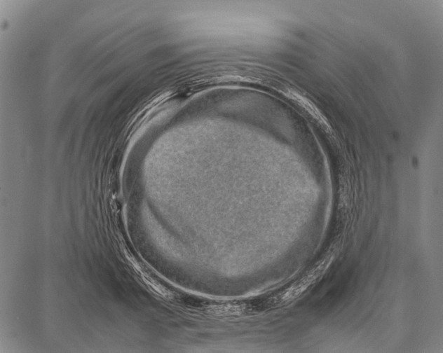 X0000087050793200705091134