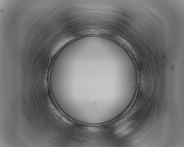 X0000087050794200705091134