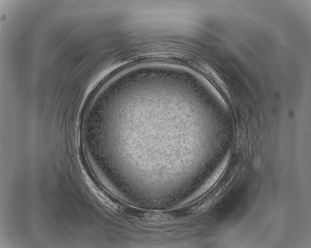 X0000087050795200705091134