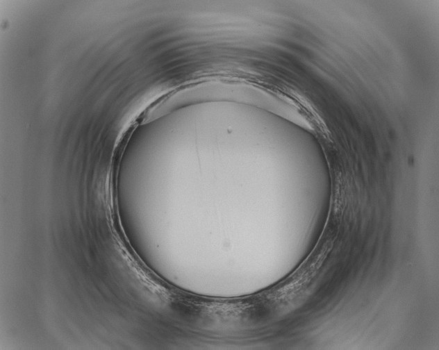 X0000087050796200705091134